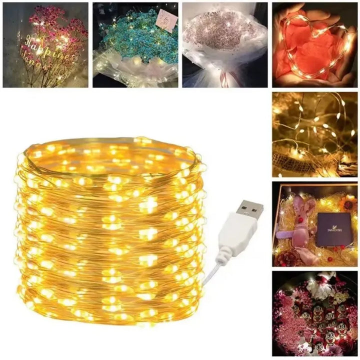 LED Decorative Wire Lights-5