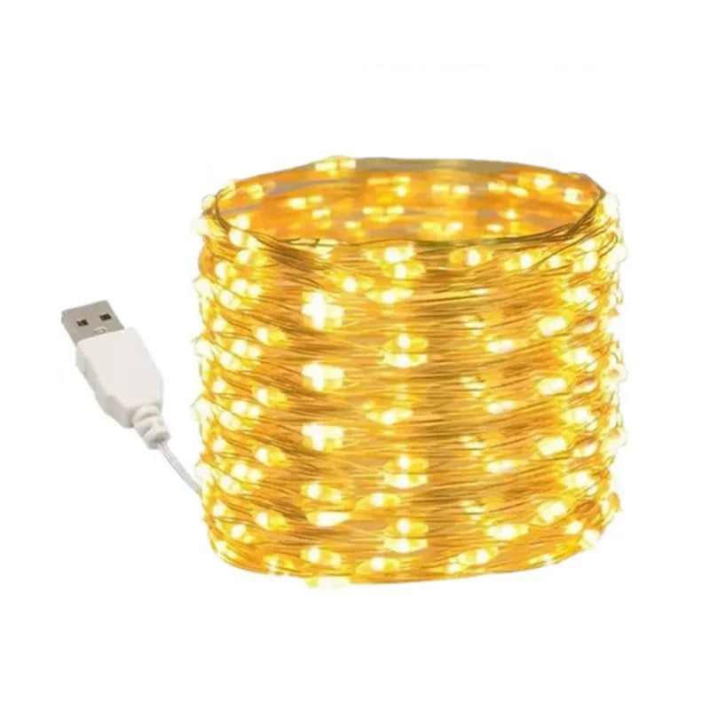 LED light string copper silver wire-6