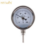 Stainless Steel Temperature Gauge, HH-SS02