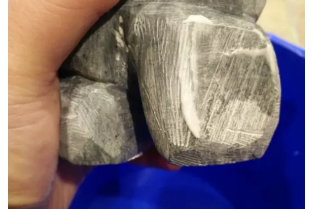 Carved soapstone